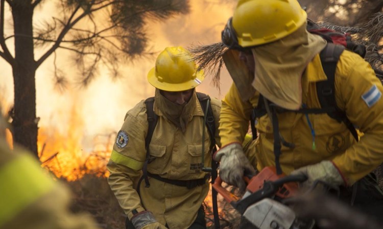 Incendios en la Argentina: es necesaria una ley integral de Ordenamiento Ambiental del territorio Foto Incendios En Argentina