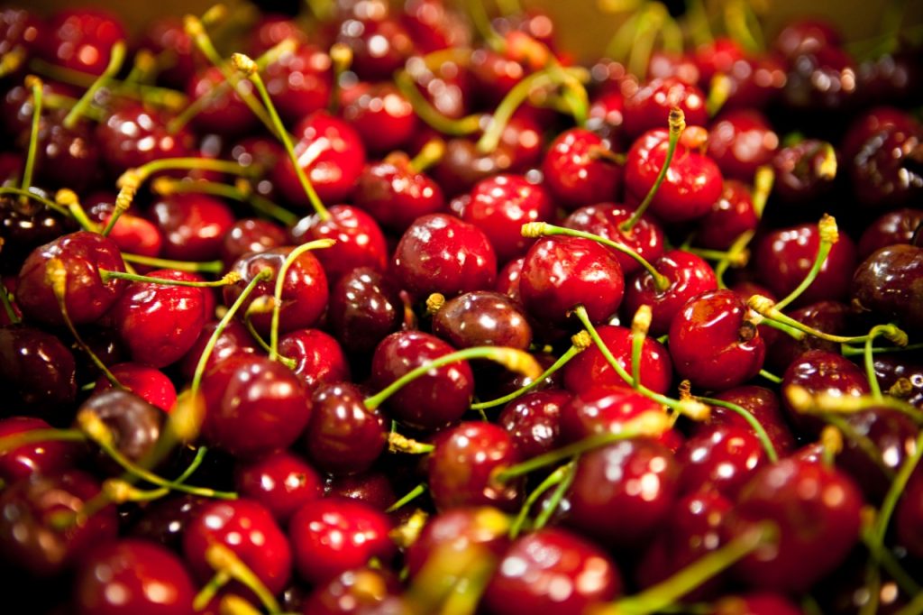 Las exportaciones de Alimentos y Bebidas Regionales crecieron más del 9% en los primeros diez meses del año 201217180534 1024x682