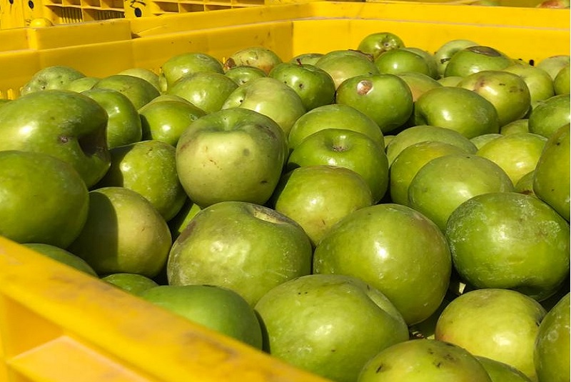 Foto Biogas A Partir De Frutas