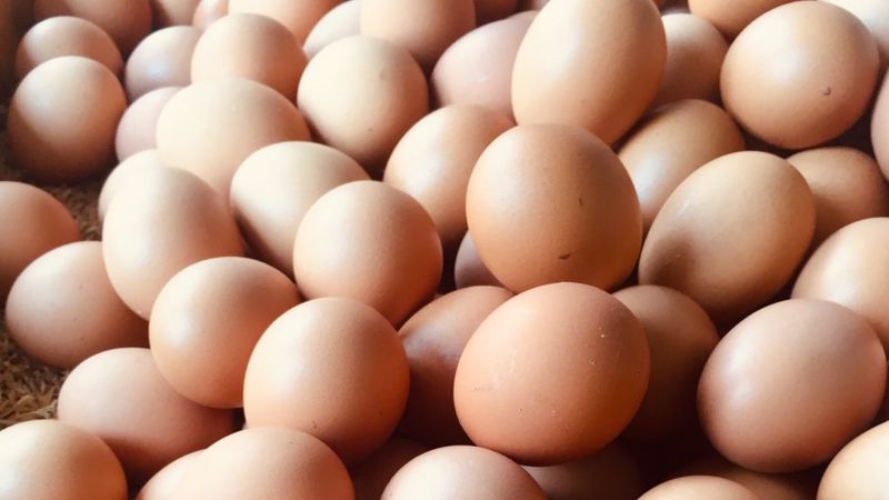 Foto Huevos Alimento Mas Saludable