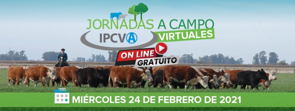 Primera jornada a campo del IPCVA 2021 Foto Jornadas A Campo IPCVA 1024x385