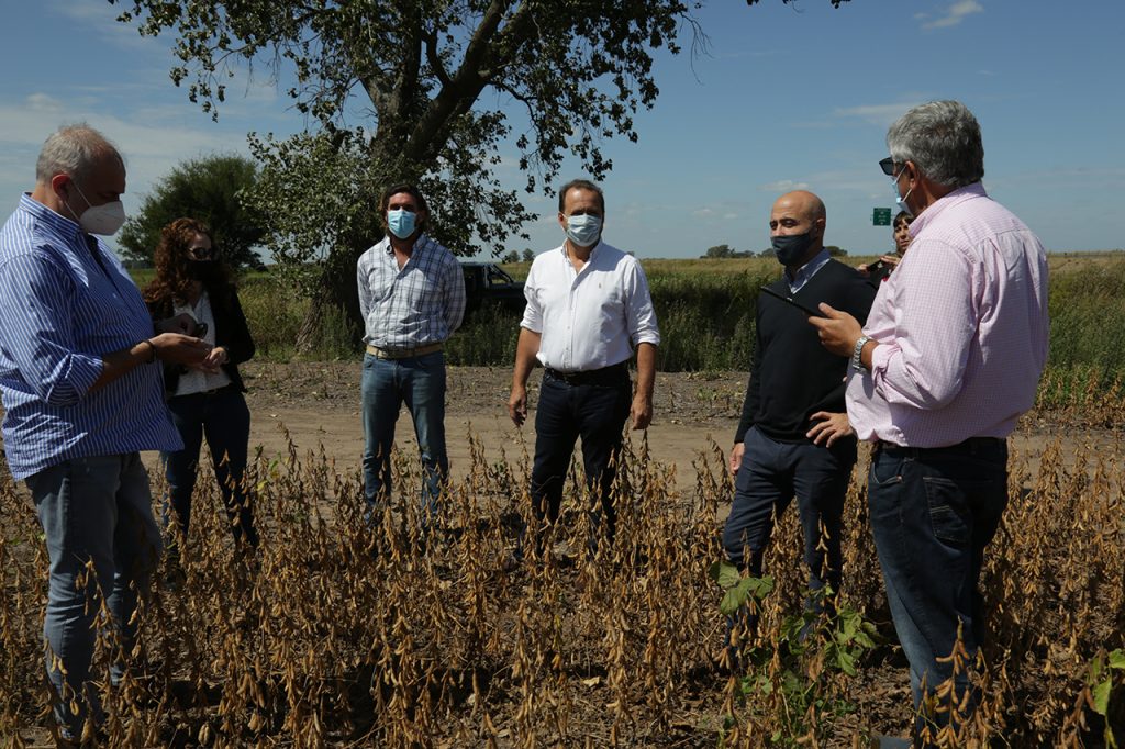 Agricultura lanzó la Estimación de campaña de la cosecha gruesa 2020/21 210319150525 Original 1024x682