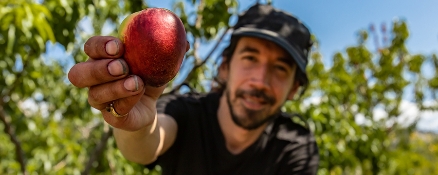 La coexistencia de los sistemas de producción bajo buenas prácticas es posible La Coexistencia De Los Sistemas De Produccion Bajo Buenas Practicas
