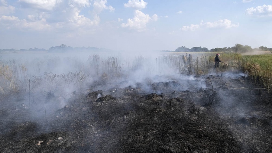 Créditos bonaerenses para productores afectados por incendios Incendios