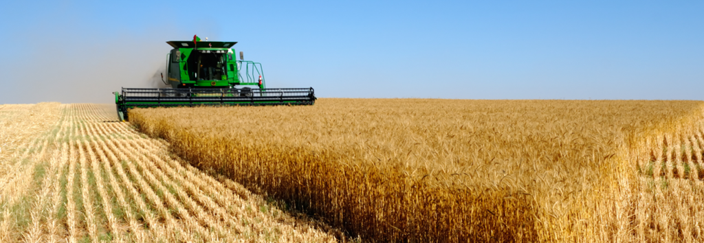 <strong>El 83% de los productores manifiestan que su situación financiera es peor que la de un año atrás</strong> FOTO Expoagro RUS 1024x354