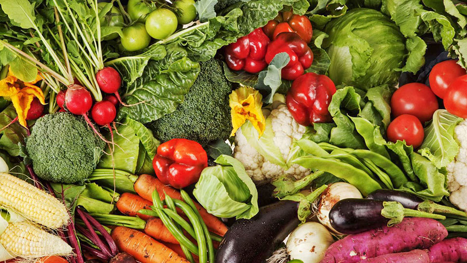 Foto Dieta Sustentable Impacto Lo Que Comemos