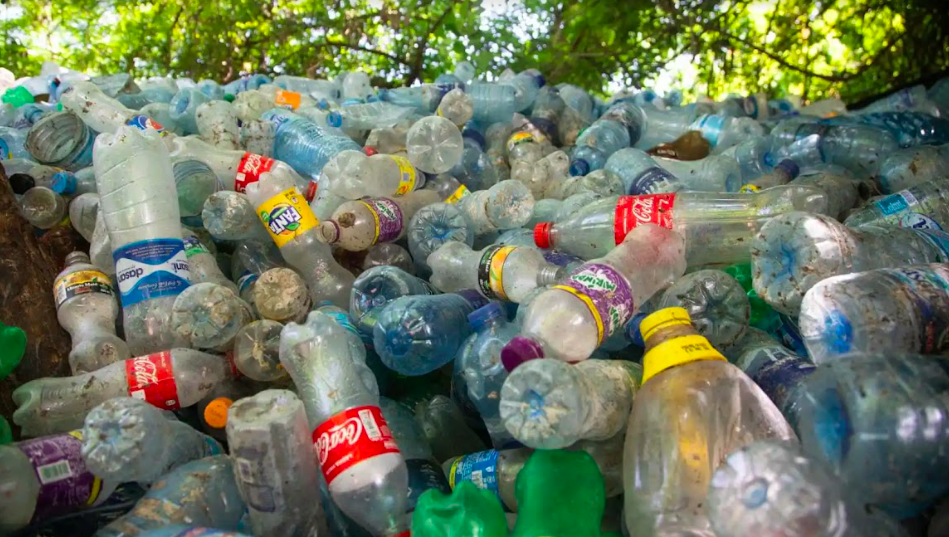 Qué es desplastificar y por qué es la acción urgente que la Tierra necesita para frenar la contaminación ambiental Foto Desplastificar