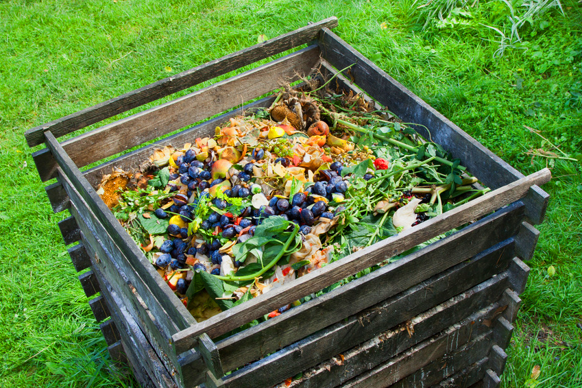 <strong>Crearon el Plan de Compostaje Institucional para valorizar residuos orgánicos</strong> Compost Casero