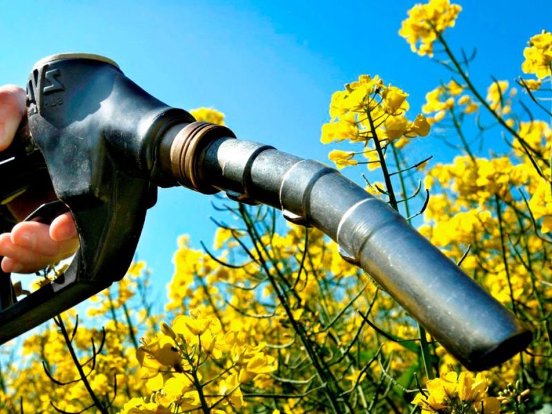La UE impondrá un uso mínimo de combustibles sostenibles a los aviones desde 2025 y hasta un 70% en 2050 Foto Biocombustibles