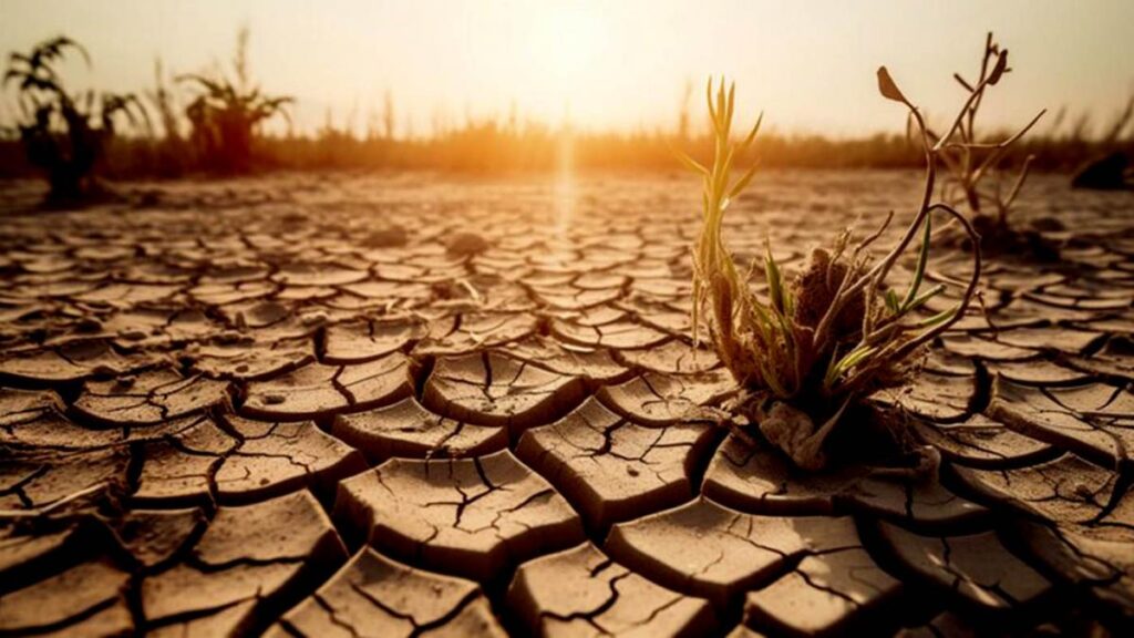 Organizaciones y especialistas cuestionan los cambios propuestos en materia ambiental 64a6a794b6ab6 1200 1 1024x576