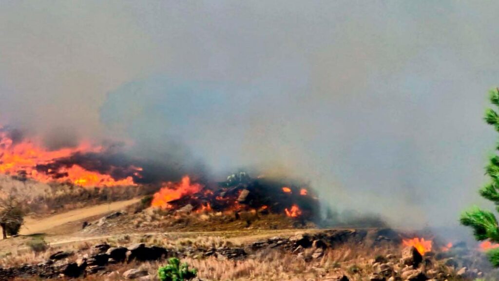 LEY ÓMNIBUS: Impulsan modificar las autorizaciones de quemas de tierras 64e3aabb36f96 1200 1024x576