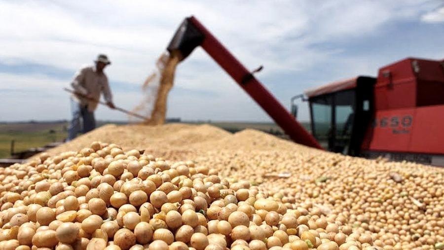 Mercados a la baja por la buena oferta y la demanda retraida: Precios en Argentina de maíz y soja por debajo del punto de equilibrio 599b1481632eb 1200