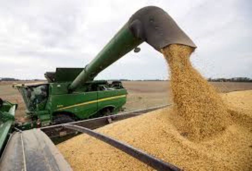 Foto El Campo Hacia La Sustentabilidad