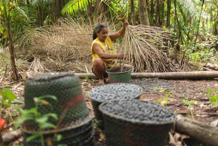 G20 Respalda Propuesta De Brasil Para Potenciar La Bioeconomia Como Herramienta Clave Para Reducir Las Desigualdades Y La Pobreza