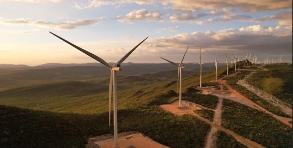 Lanzamiento de las herramientas de crucíferas del Programa Argentino de Carbono Neutro S NQzZ8Q9 1256x620 2 1024x517