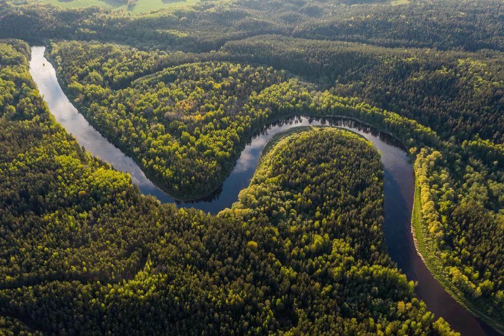 China transforma el desierto: el proyecto crea bosque con energía Misma