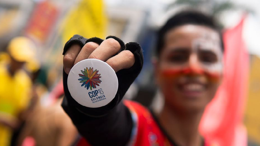 La COP16 ya está en marcha: ahora, "que pasen de las palabras a los hechos" Cop16