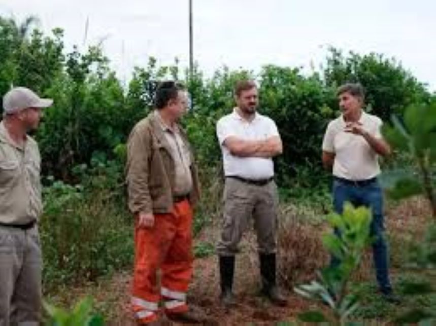 “Misiones se destaca por tener una producción de la yerba sustentable y con un cuidado del medio ambiente”, afirmó Szychowski Foto Yerba Sustentable