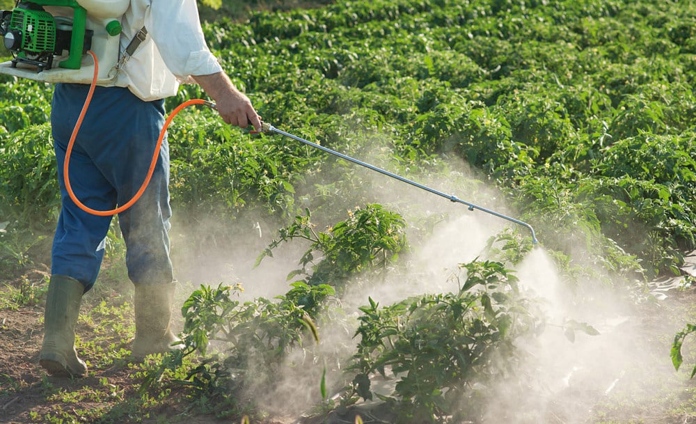 En Europa crece la preocupación por el impacto de los agroquímicos en la salud, en Misiones se avanza con la transición a una producción sustentable Foto Misiones Produccion Sustentable