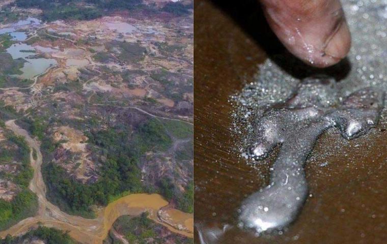 Detectan riesgo de contaminación por mercurio en ríos amazónicos brasileños Foto Contaminacion Por Mercurio