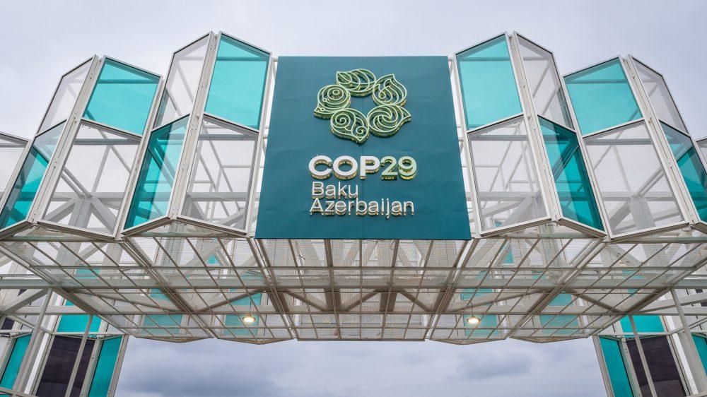 Cop 29