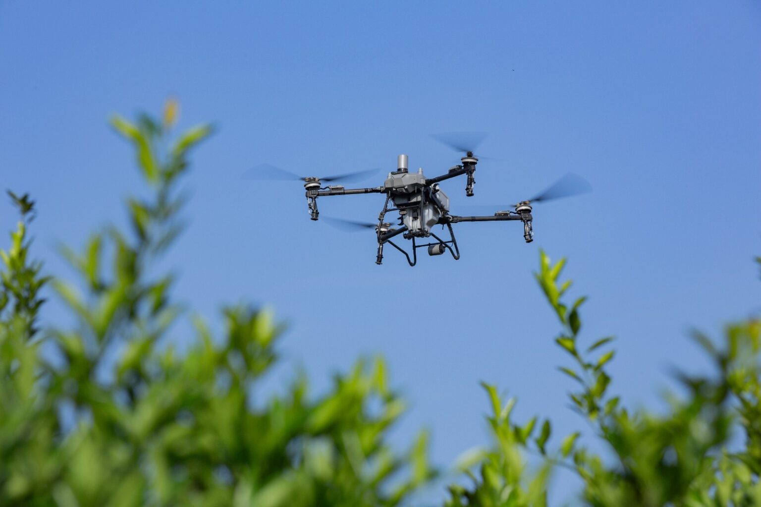 AgroActiva 2026: Con el foco en el «ecosistema AgTech», Tekron sella una alianza histórica y es nuevo Main Sponsor