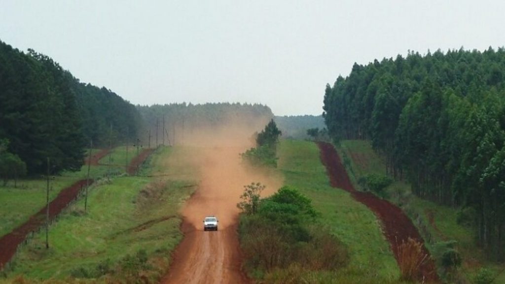 Mega proyecto forestal apuesta a la producción sustentable y posiciona a Argentina en el mercado global de celulosa Foto MEGA Proyecto Forestal 1024x576