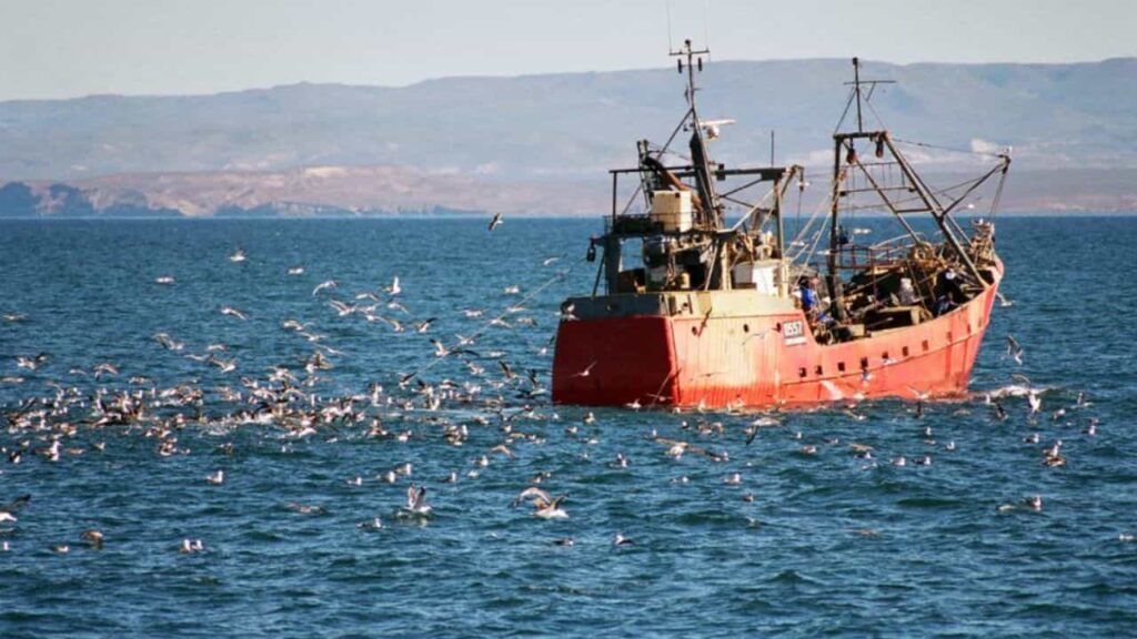 La batalla por el Mar Argentino: pesca ilegal, depredación y una polémica alianza con Estados Unidos foto batalla por el mar argentino