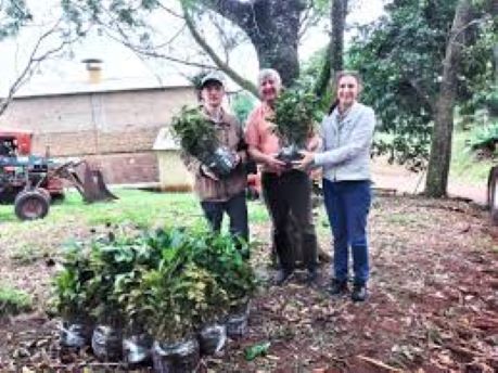 foto misiones productores susrentables