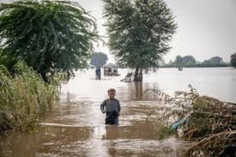 foto niños expuestos al cambio climático