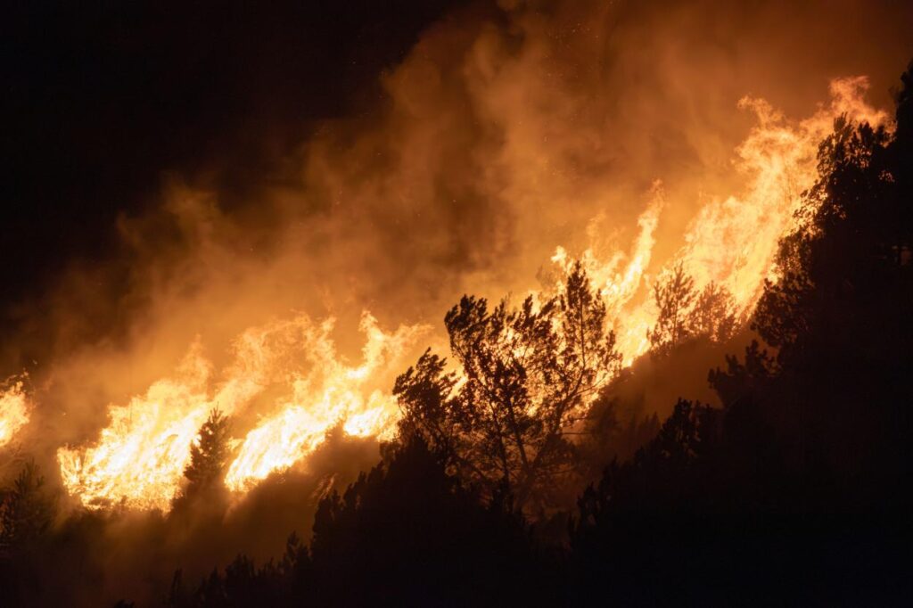 Ola de calor en Europa y Estados Unidos: el impacto ambiental de un verano cada vez más extremo 1783795717 archive pexels fauske 36623283 rz1250