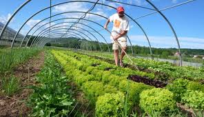 foto congreso de agroecología