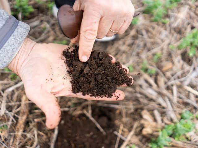 La producción sustentable redefine el futuro de la agricultura moderna foto agricultura moderna
