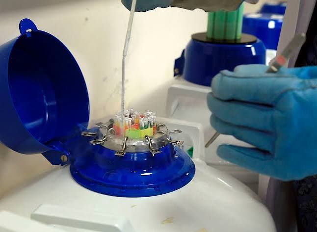 foto fertilidad masculina afectada por contaminación