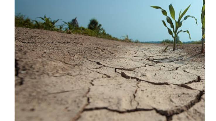 foto degradacion ambiental