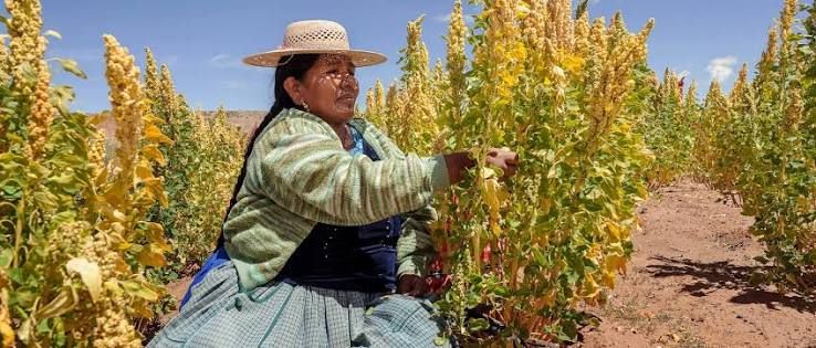 La degradación de la tierra llegó a la COP17 y a tu mesa: así amenaza la producción de alimentos foto degradación de la tierra cop17