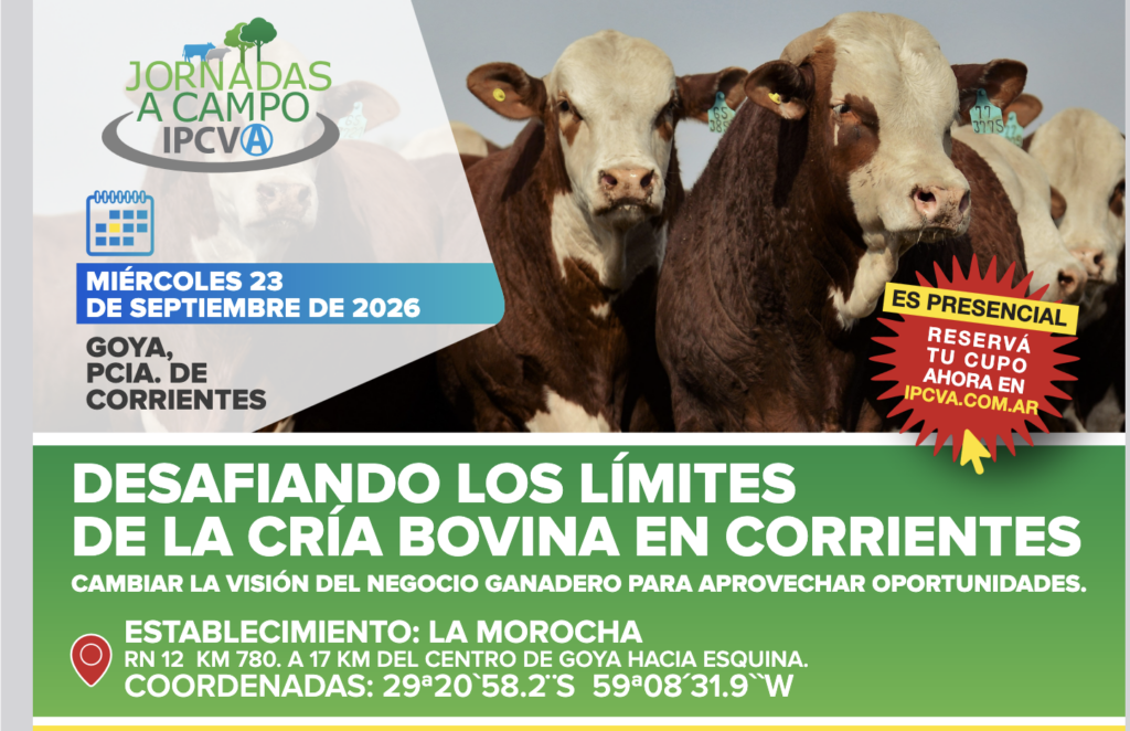 Jornada ganadera del IPCVA en Corrientes captura de pantalla 2026 09 10 a la(s) 6.38.37 p. m.
