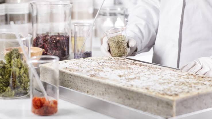 ¿Qué comeremos en el futuro? Cambio climático amenaza la producción de alimentos foto futuro q comeremos