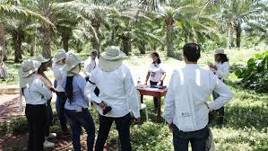 Proyecto Coclí, de BASF y Solidaridad, impulsa más de 118.000 hectáreas de palma de aceite certificadas en Colombia de cara al Reglamento europeo contra la deforestación (EUDR) foto colombia proyecto cocli