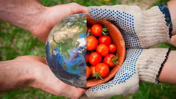 foto alimentos sostenibles 2026